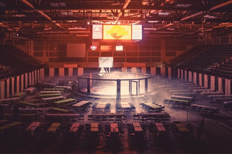 Entenda o que é o MMA e o seu principal evento, o UFC