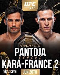 UFC 317 poster 3